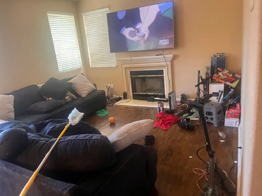 Professional Cleaner